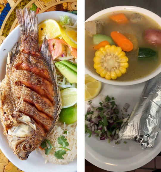 Welcome to <span class="t-color2">Fish Taco Xtreme!</span>
